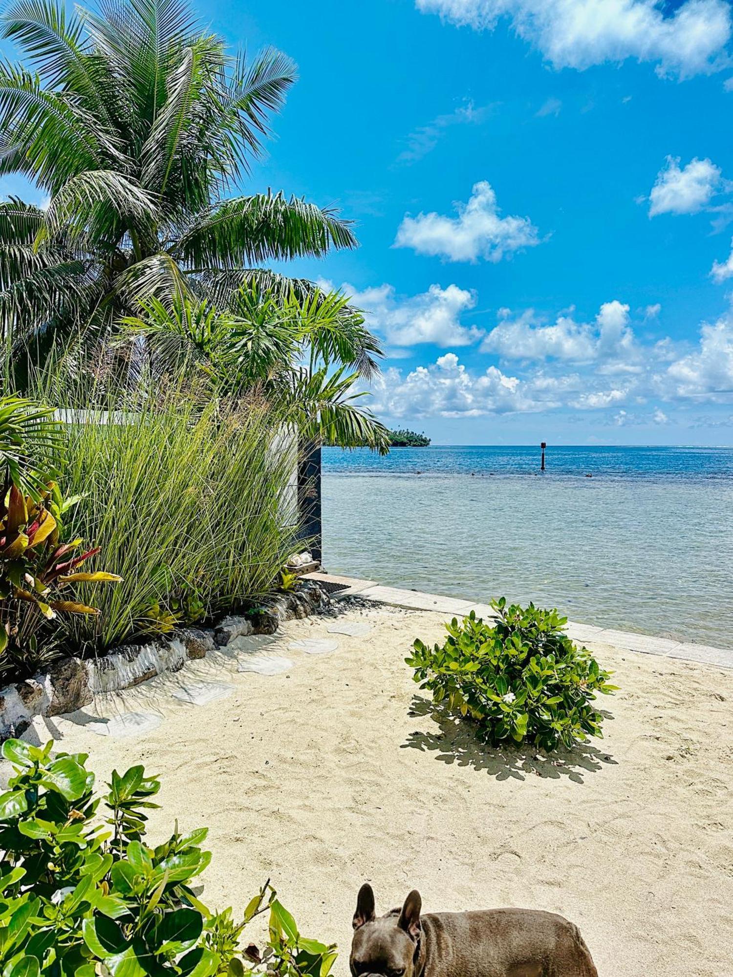 Pension Irivai Appartement Puatou 1 Chambre Bord De Mer Uturoa Esterno foto