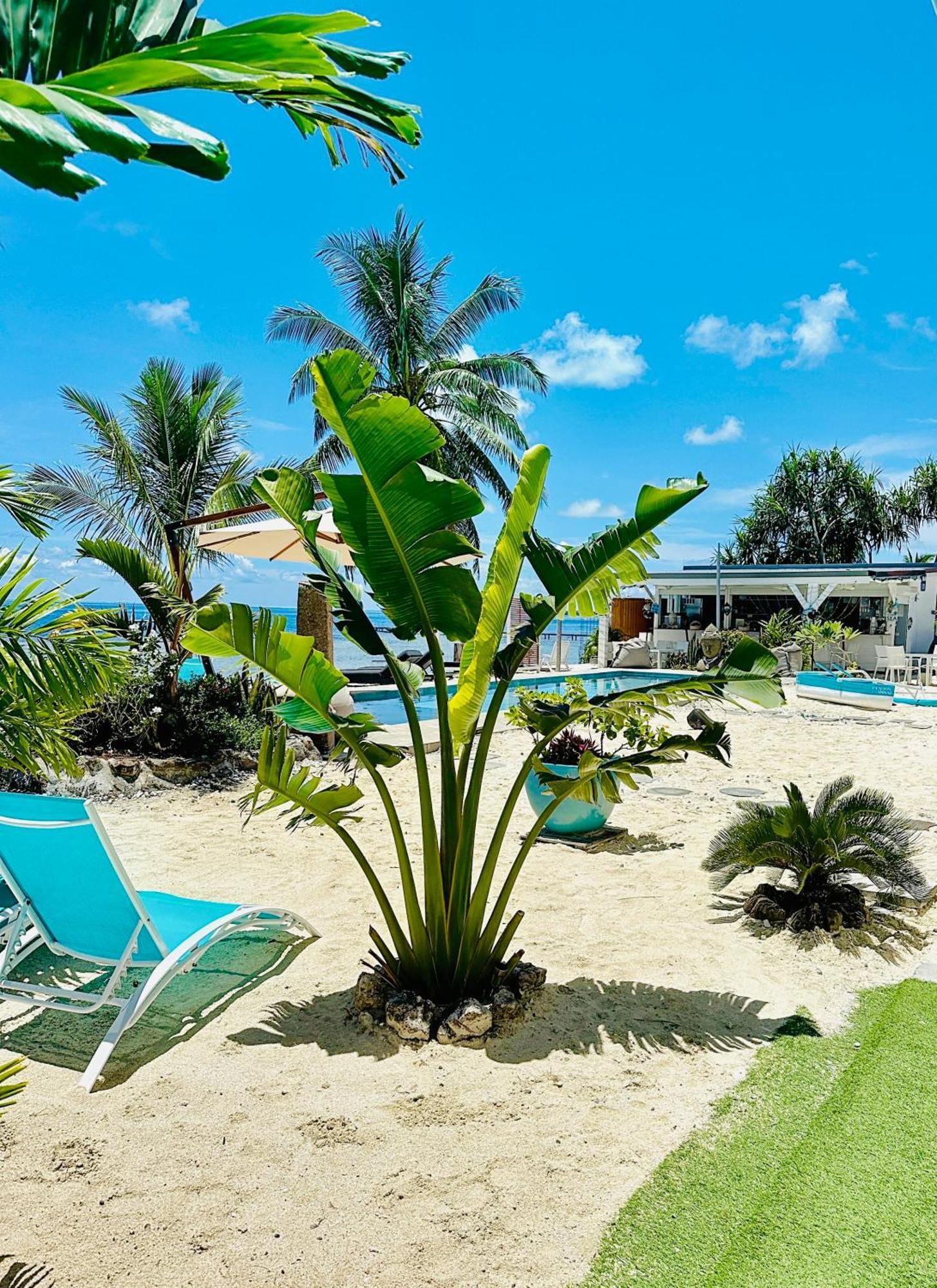 Pension Irivai Appartement Puatou 1 Chambre Bord De Mer Uturoa Esterno foto