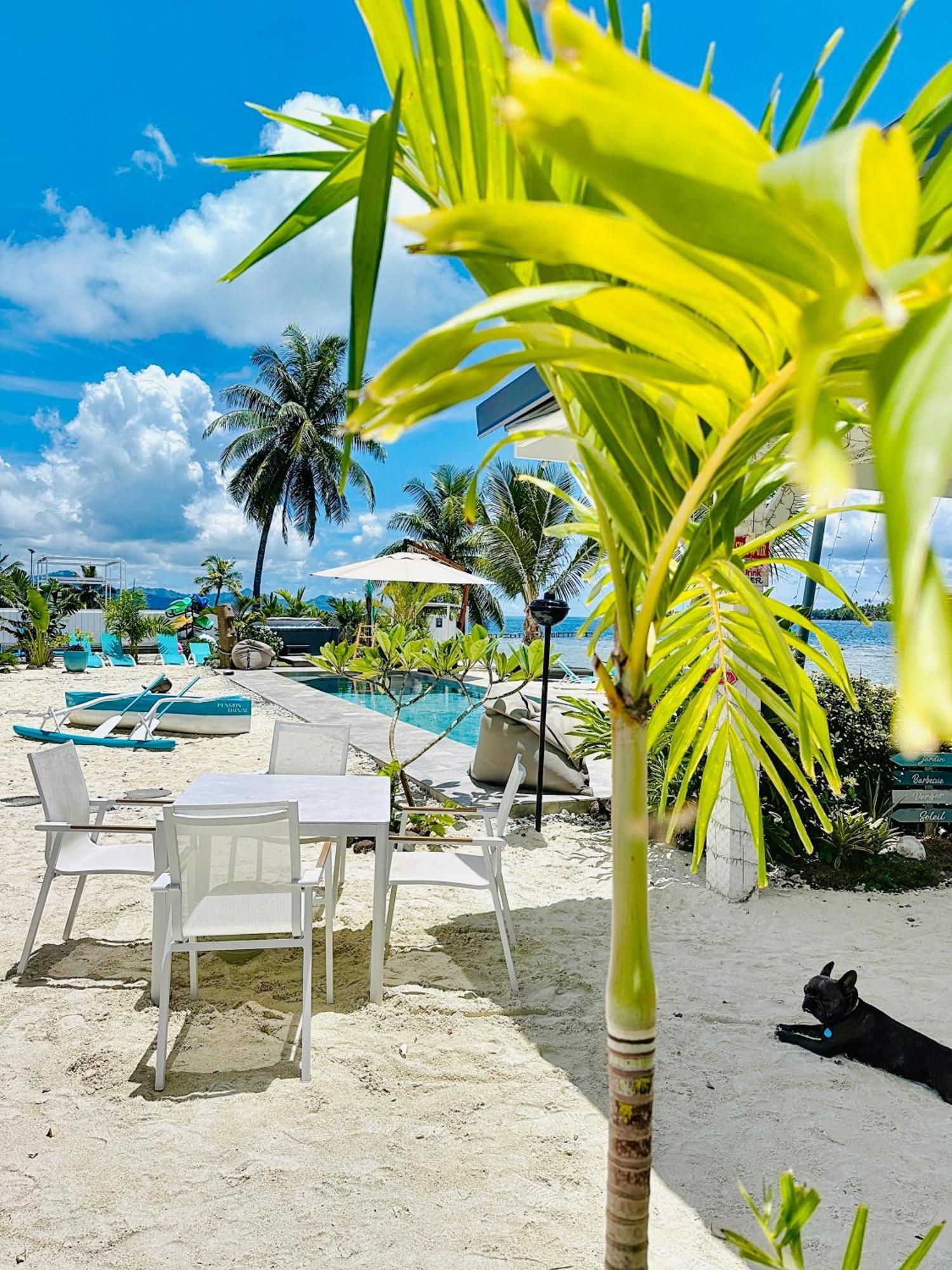 Pension Irivai Appartement Puatou 1 Chambre Bord De Mer Uturoa Esterno foto